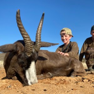 Blesbok Hunt South Africa