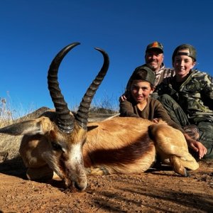 Springbok Hunt South Africa