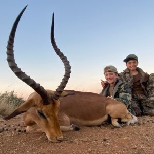 Impala Hunt South Africa