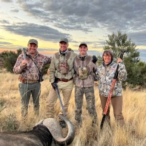 Buffalo Hunt South Africa