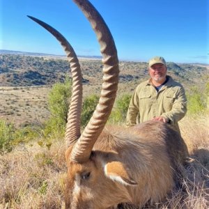 Red Lechwe Hunt South Africa