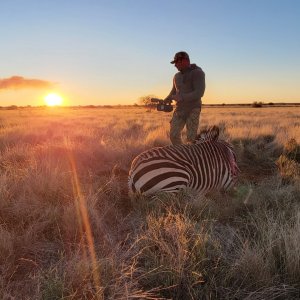 Hartmann's Zebra Hunt South Africa