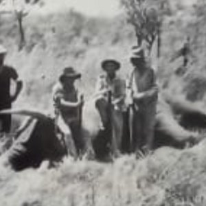 Vintage Tanzania Elephant Safari