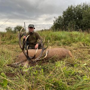 Red Stag Hunt Poland