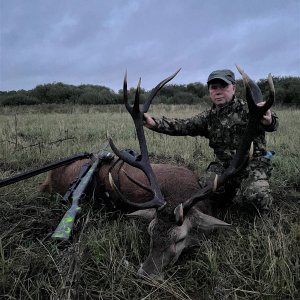 Red Stag Hunt Poland