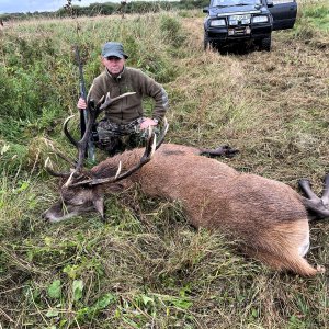 Red Stag Hunt Poland