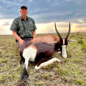 Blesbok Hunting South Africa