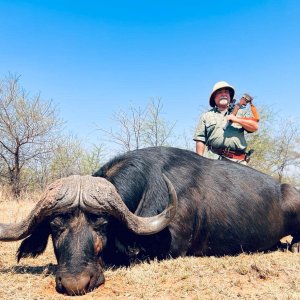 Buffalo Hunt South Africa