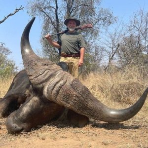 Buffalo Hunt South Africa