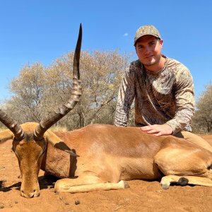 Impala Hunt South Africa