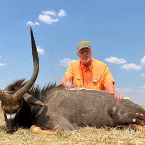 Nyala Hunt South Africa