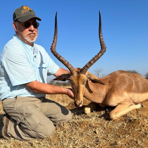 Impala Hunt South Africa