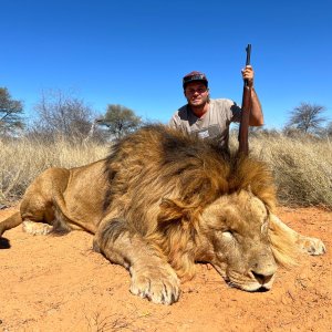 Lion Hunting South Africa