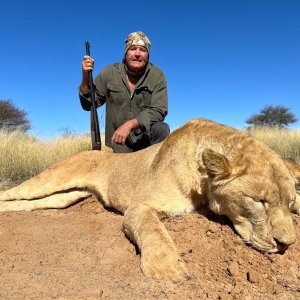 Lioness Hunting South Africa