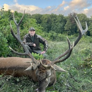 Red Deer Hunt Romania