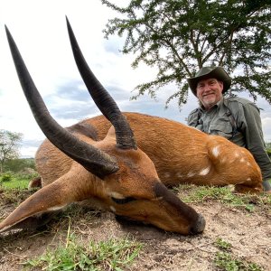 Bushbuck Hunt Uganda