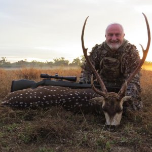 Chital Stag Hunting Australia