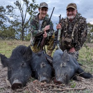 Pig Hunting Australia