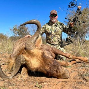 Golden Wildebeest Bow Hunt South Africa