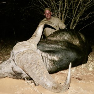 Buffalo Hunting Limpopo South Africa