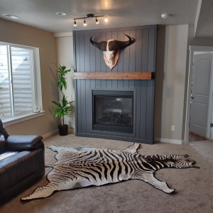 Buffalo European Mount & Zebra Rug