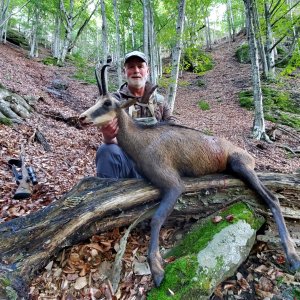 Chamois Hunt Romania