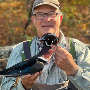 Wood Duck Hunting