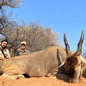 Eland Hunting South Africa