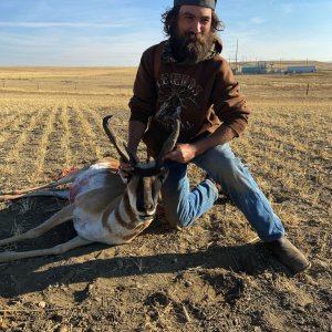 Pronghorn Hunt Alberta Canada