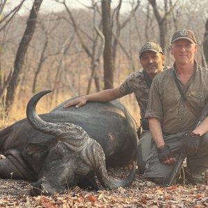 Hunting Buffalo Zambia