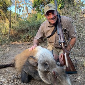 Bush Pig Hunting