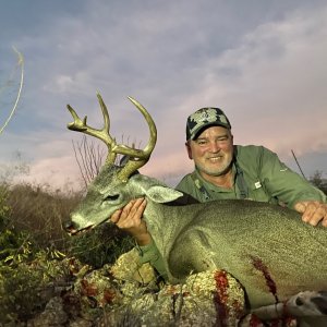 White-tailed Deer Hunting