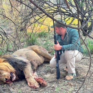 Lion Hunt South Africa