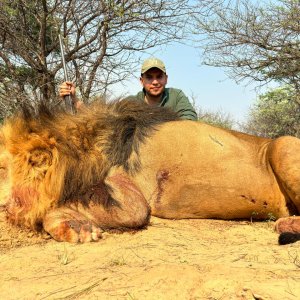 Lion Hunt South Africa