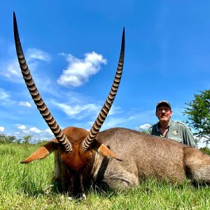 Waterbuck Hunt Uganda