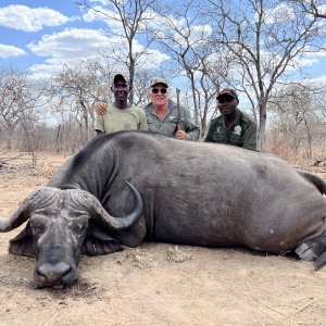 Buffalo Hunt Mozambique