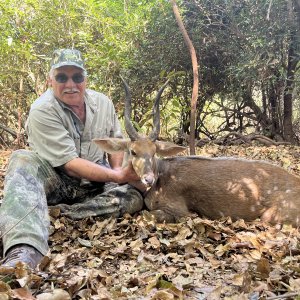 Bushbuck Hunt Mozambique