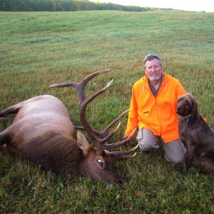 Elk Hunting