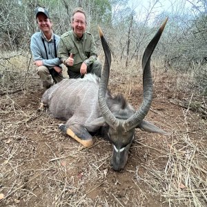 Nyala Hunting South Africa