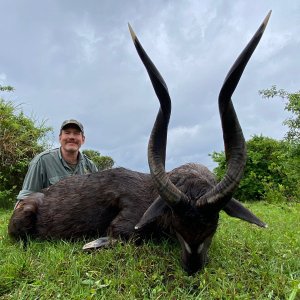 Sitatunga Hunt Uganda