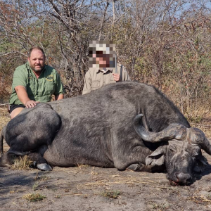 Buffalo Hunting Namibia