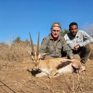 Thomson's Gazelle Hunt Tanzania