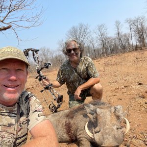 Warthog Hunt Zimbabwe