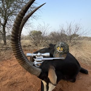 Sable Handgun Hunt South Africa