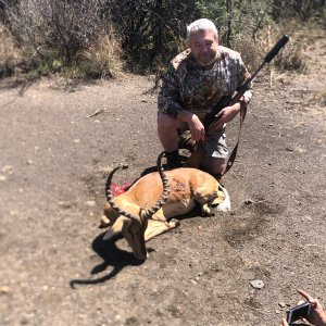 Impala Hunting South Africa