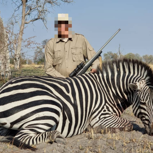 Zebra Hunt Namibia