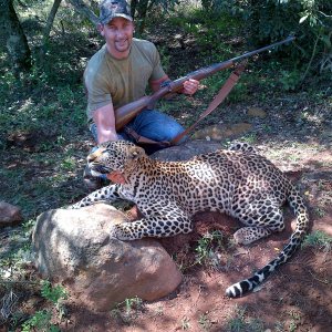 Leopard Hunting Mozambique