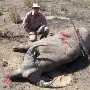 West African Buffalo Hunting