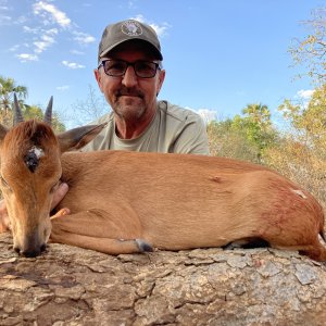 Red Duiker, Niassa Special Reserve, Block L9 Kwalata Safaris