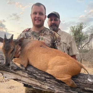 Red Duiker, Niassa Special Reserve, Block L9, Kwalata Safaris